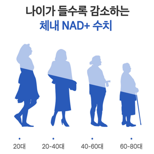 참굿즈 식물성 NMN 엔엠엔 60정 6병 12개월 브로콜리 추출물 베타인 NAD 노화 - 상세 이미지 4