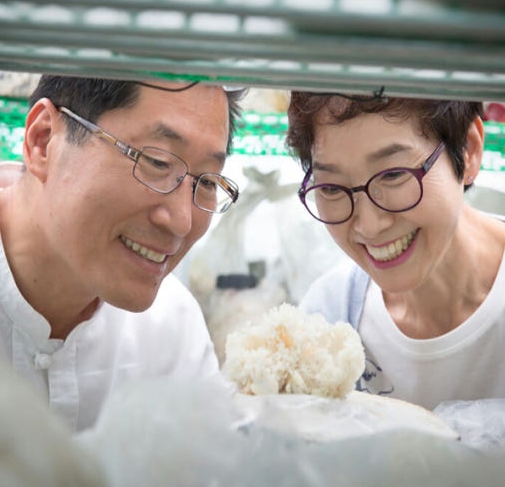 경신바이오 발효 꽃송이버섯 효소 꽃송이 현미 특 90포 405g 이미지 8