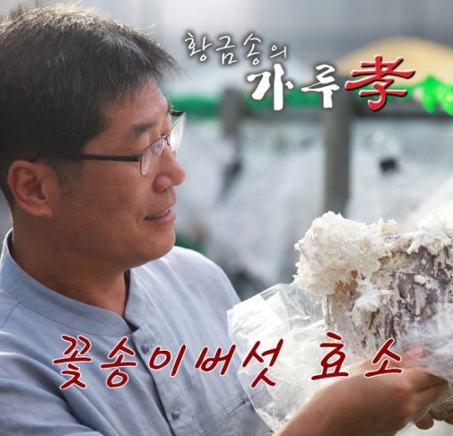 경신바이오 발효 꽃송이버섯 효소 꽃송이 현미 특 90포 405g - 상세 이미지 2