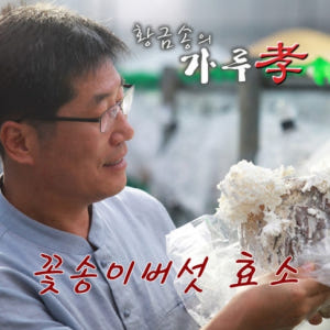 경신바이오 발효 꽃송이버섯 효소 꽃송이 현미 특 405g 90포, 1개 맛있게 먹은 솔직 후기 - 상품 이미지 2