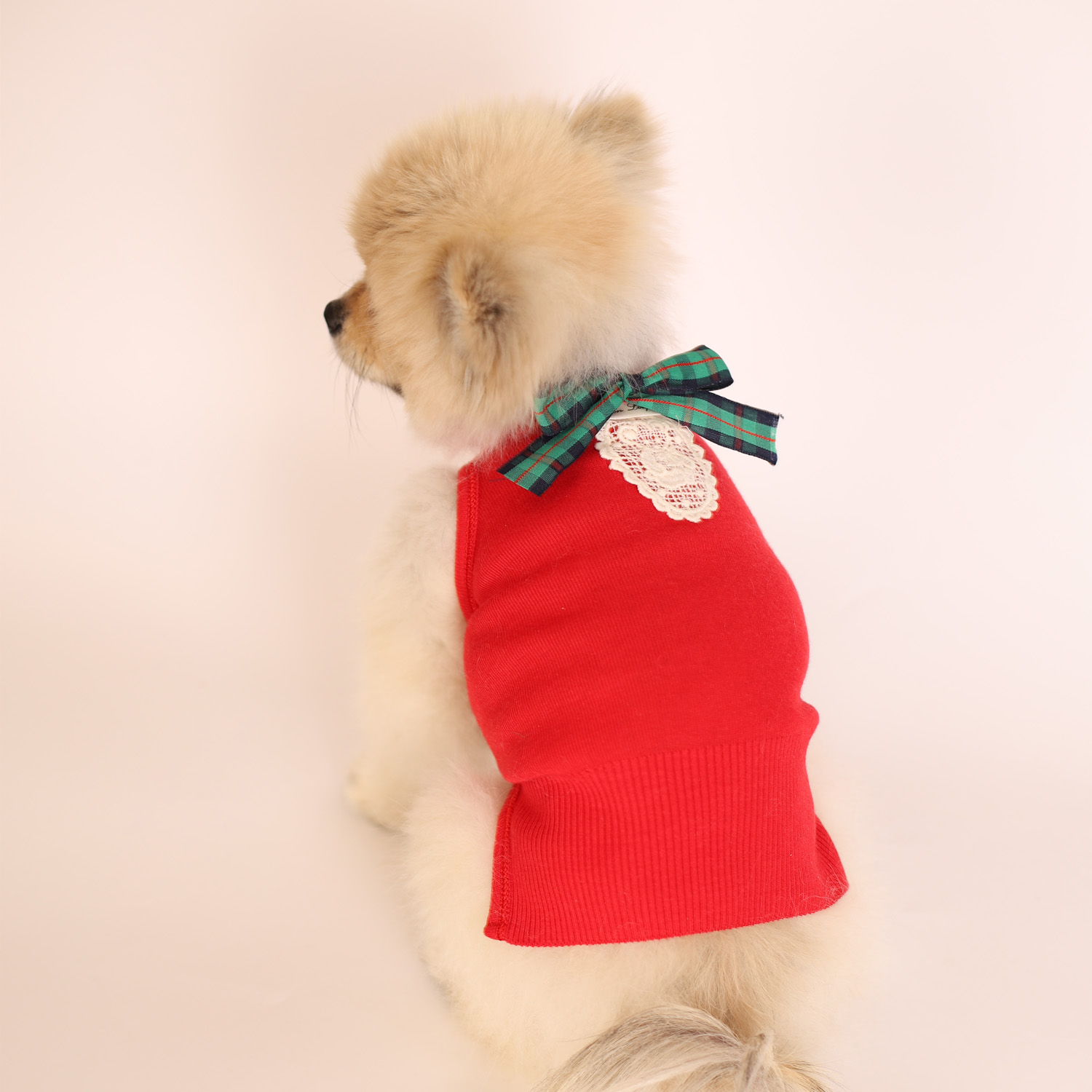 강아지옷 크리스마스 마켓