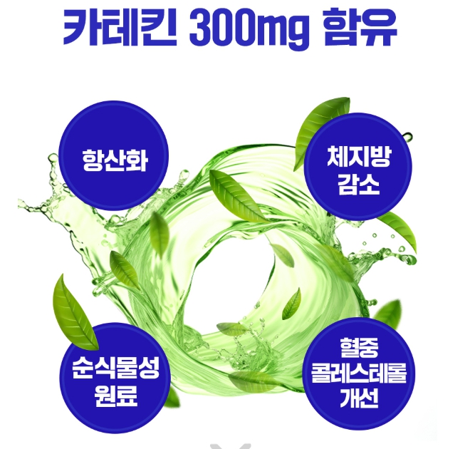 체지방분해 카테킨 1+1 다이어트 남자 항산화 녹차추출물 식물성 망간 - 상세 이미지 5