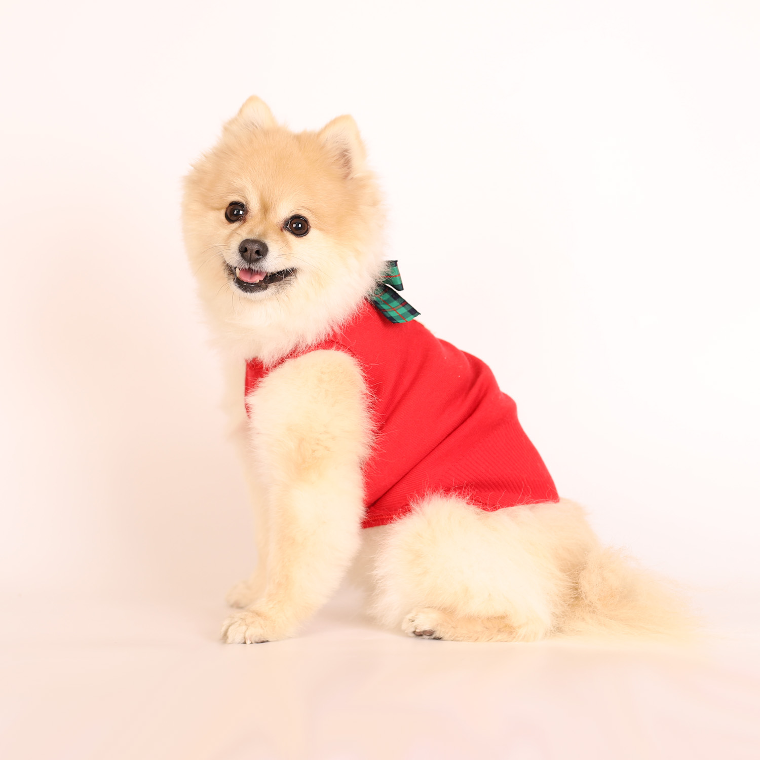 강아지옷 크리스마스 마켓