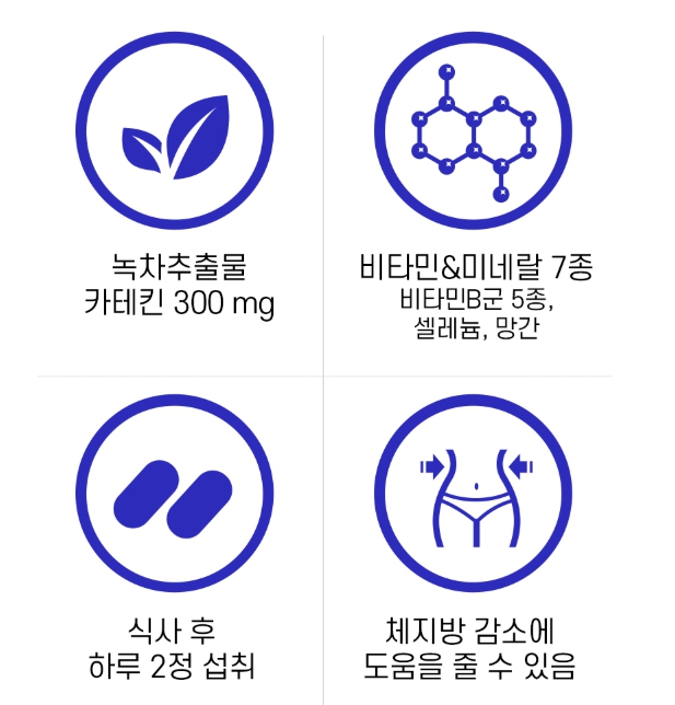 체지방분해 카테킨 1+1 다이어트 남자 항산화 녹차추출물 식물성 망간 - 상세 이미지 3