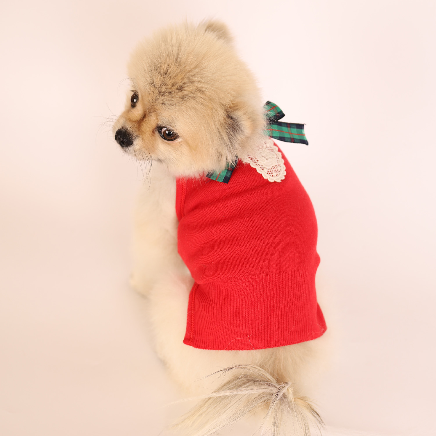 강아지옷 크리스마스 마켓