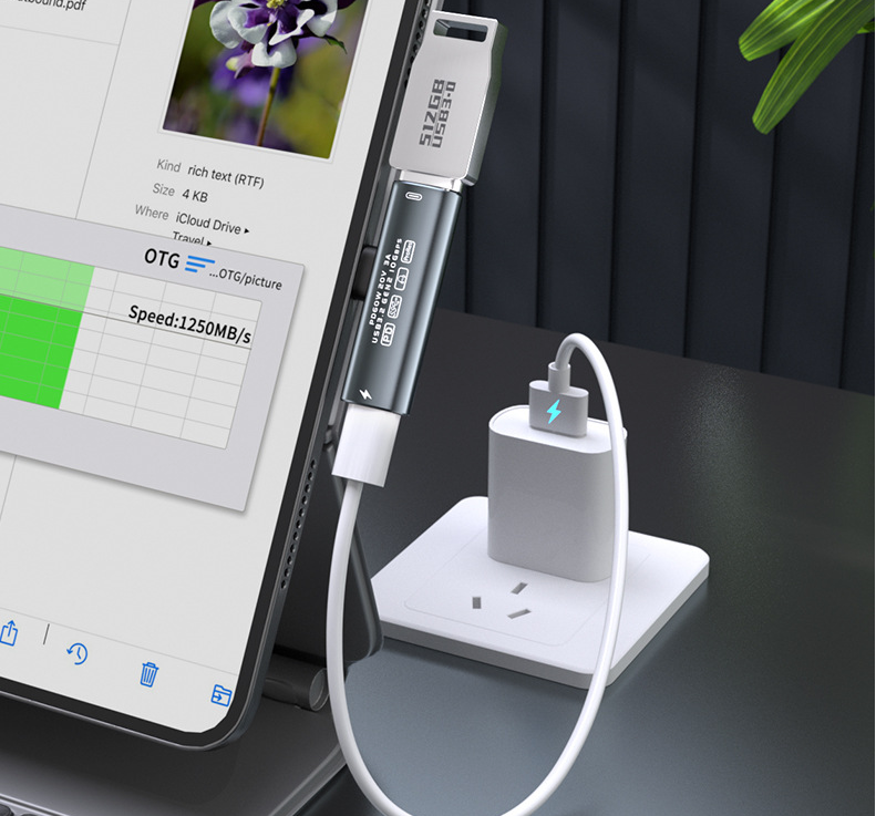 바라보고 USB3.2 Gen2 C타입 듀얼젠더 PD60W 10Gbps DAC AC04 - 상세 이미지 5