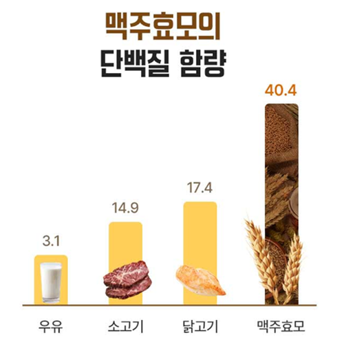 비웰 건조 맥주효모 비오틴 환 30포 6박스 6개월 판토텐산 L시스틴 풍성한 자신감 효능 이미지 6