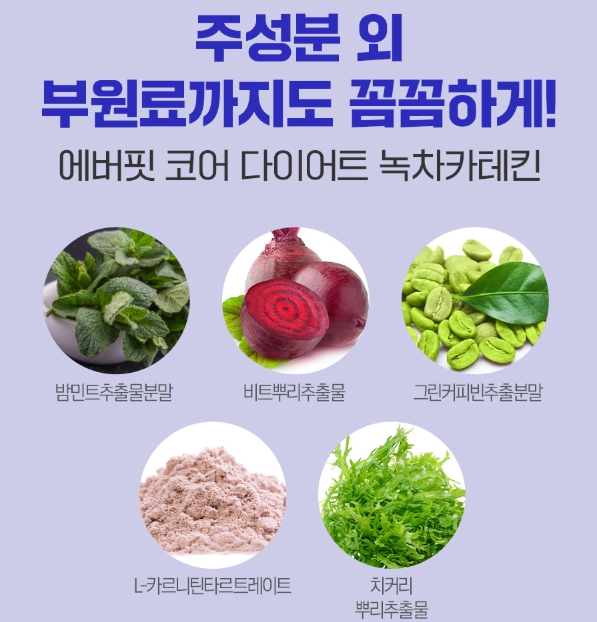 체지방분해 카테킨 1+1 다이어트 남자 항산화 녹차추출물 식물성 망간 이미지 8