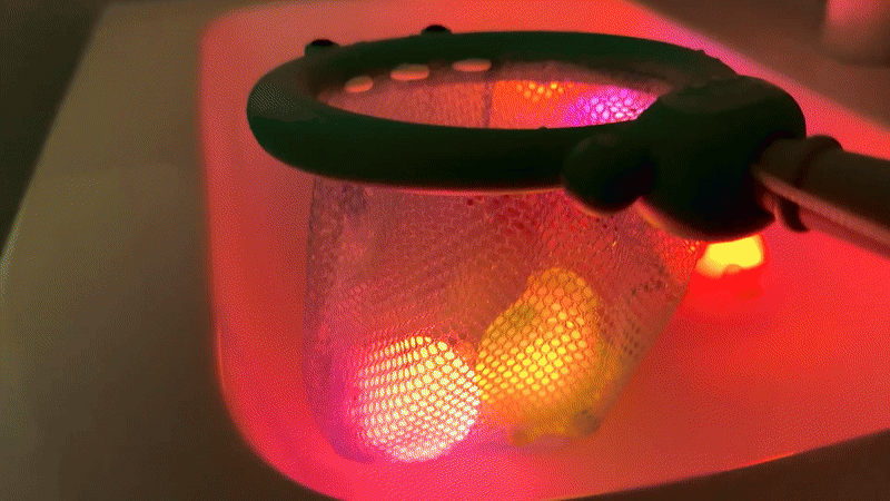 키저스 LED 낚시대 뜰채 10종세트 아기 유아 물놀이 목욕놀이 장난감 선물