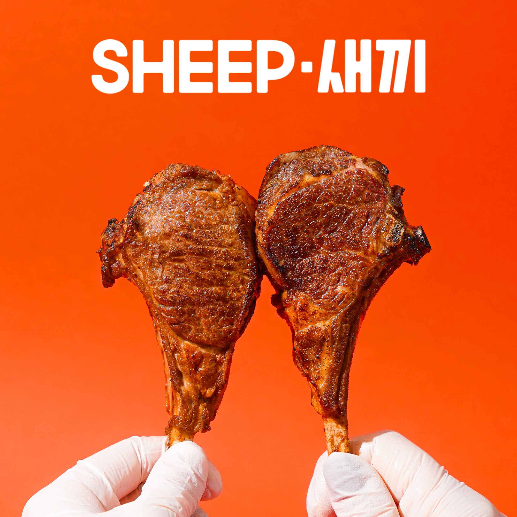 SHEEP새끼 양갈비 모음전 - 프렌치랙, 숄더랙, 큐브양꼬치, 캠핑 파티음식 양고기 스테이크 쉽새끼