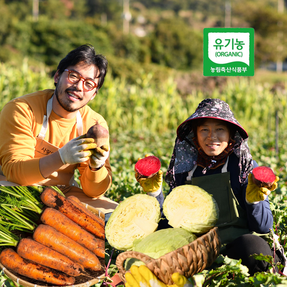 제주 3대째 유기농 농장 양배추 브로콜리 친환경 무농약 제주오가닉-3kg 6kg - 상품 이미지