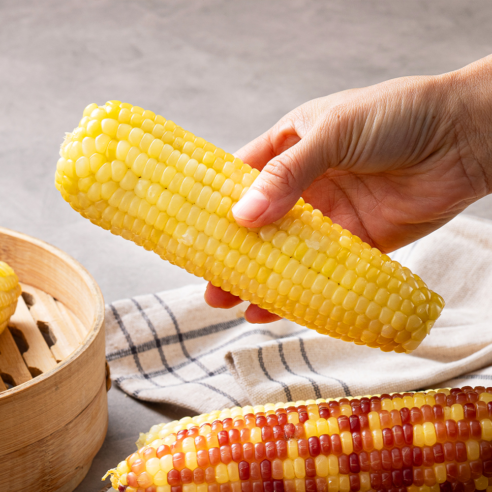 쪄서가는 냉동 찰옥수수 홍찰 백찰 옥수수 10개