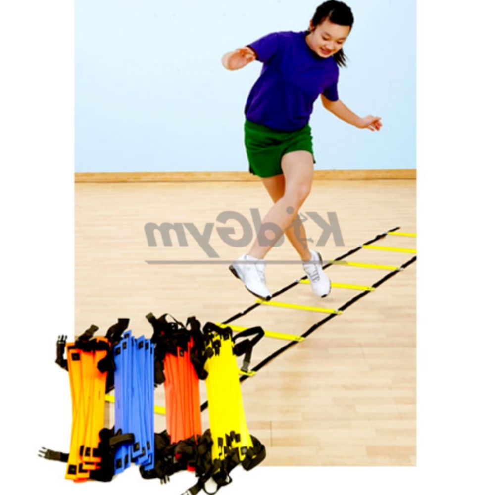 주황색초등체육스포츠장애물 파란색 버클연결유치원운동민첩성훈련장애물 4개 - 상품 이미지
