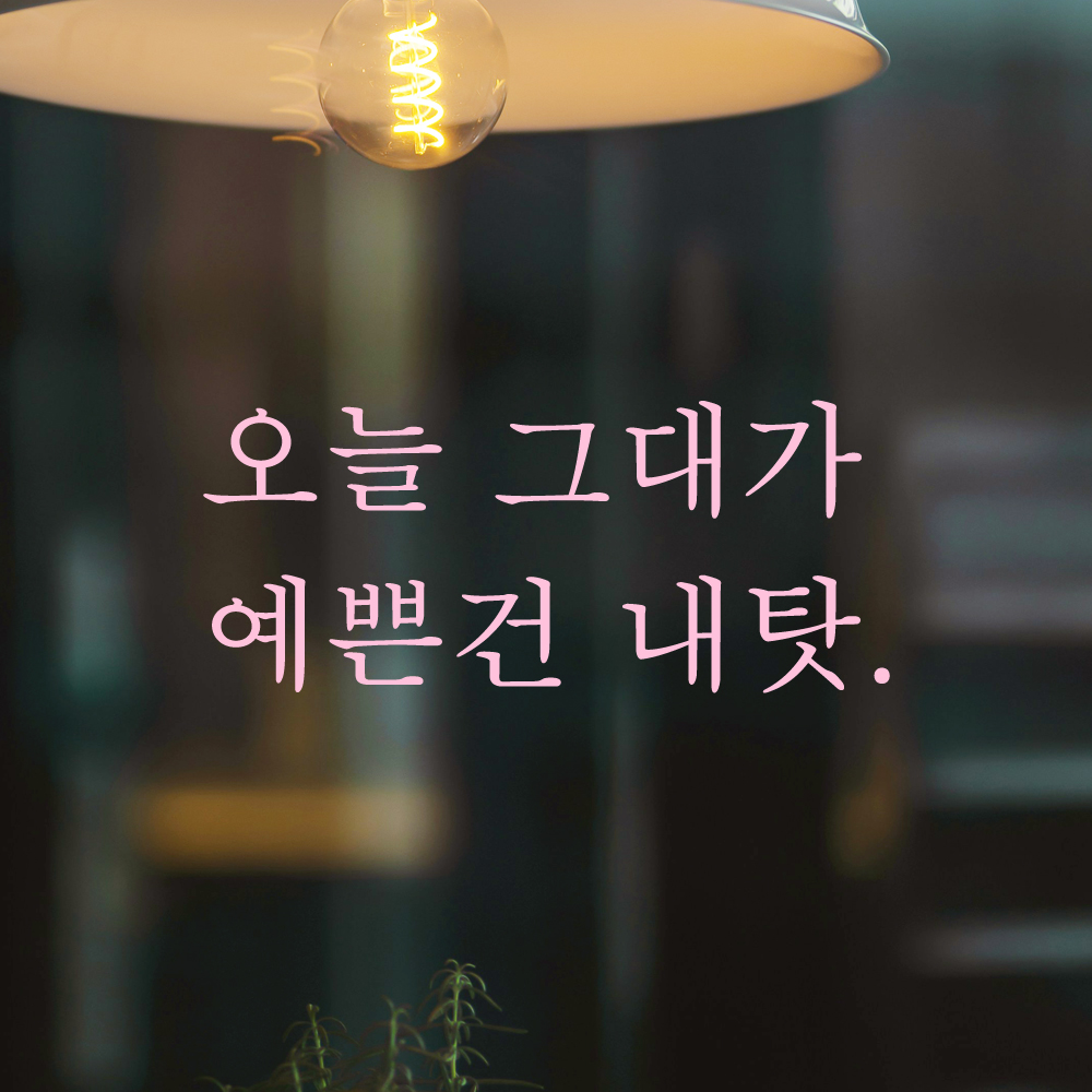 레터링 스티커 오늘 그대가 예쁜건 내탓 검정S - 상세 이미지 4