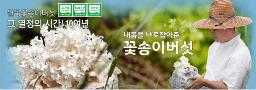 발효 꽃송이버섯 효소 꽃송이 현미 영양제 경신바이오 스틱형 405g 90포, 1개 판매처 상세 정보 이미지 2
