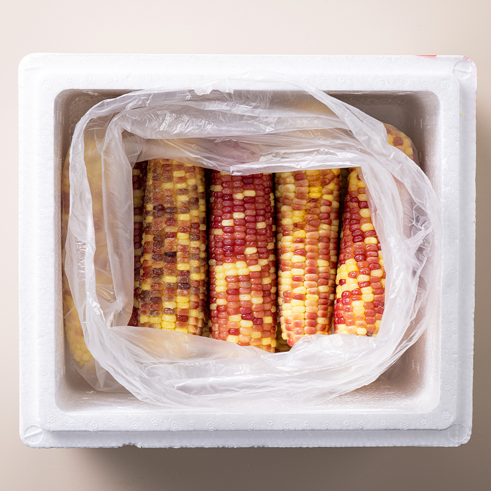 쪄서가는 냉동 찰옥수수 홍찰 백찰 옥수수 10개