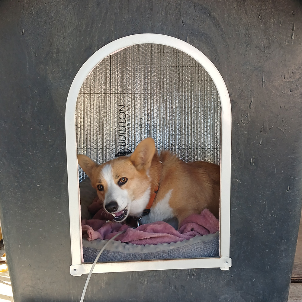 빌트론 열반사단열재 10T 1m x 1m 일반형비접착 길고양이 길냥이 고보협 겨울집 급식소