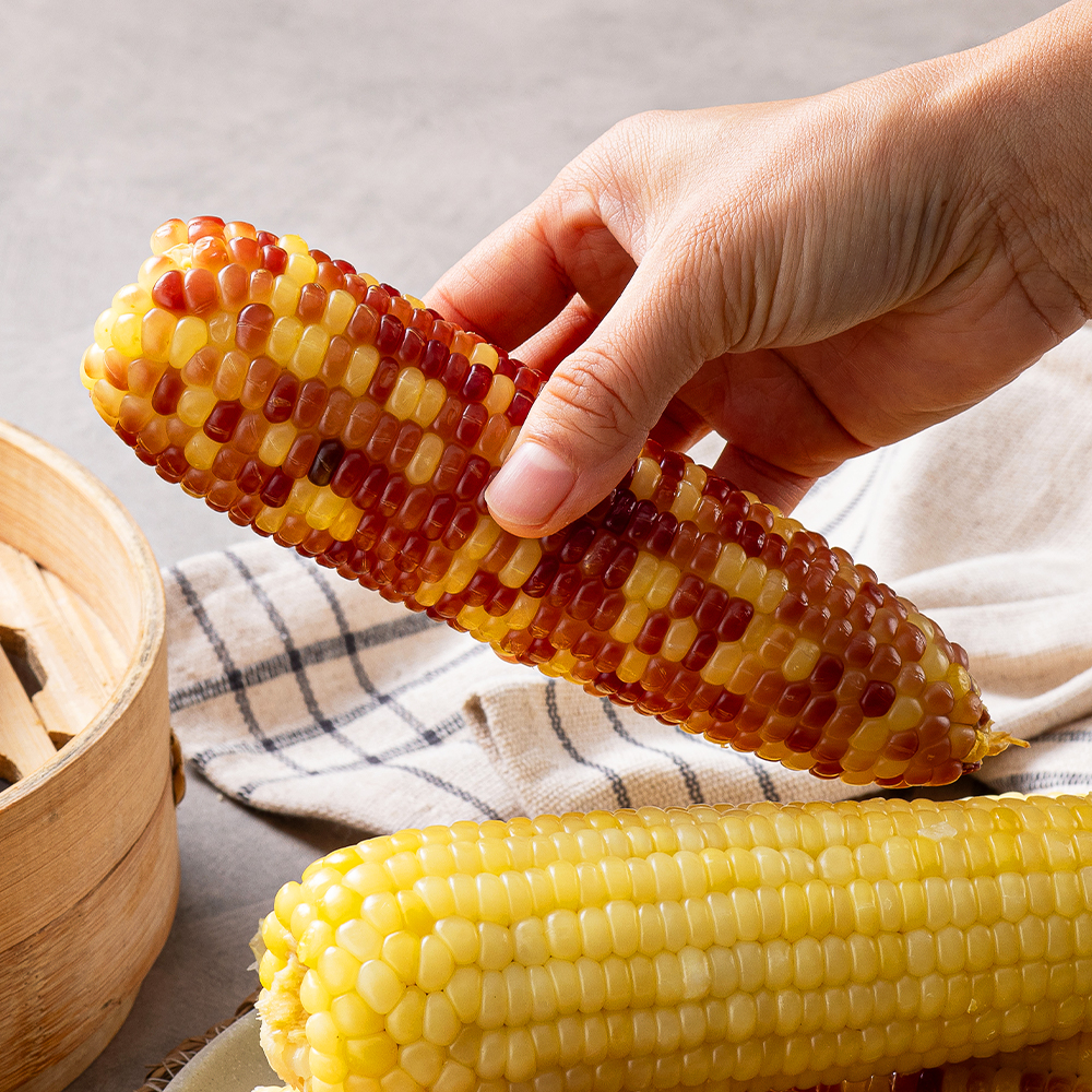 쪄서가는 냉동 찰옥수수 홍찰 백찰 옥수수 10개