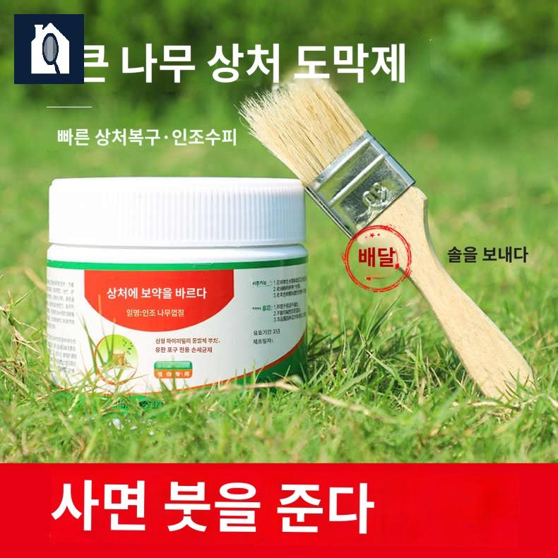 수목 제 보호제 접목 감나무 도포제 방법 나무 - 상세 이미지 4