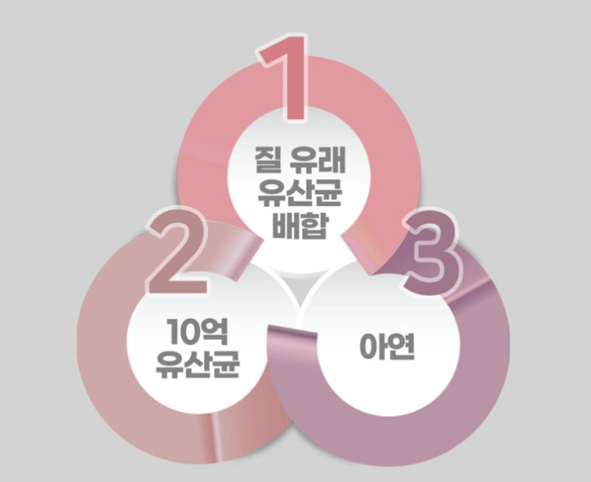 약국질유산균 람노스 락토바실러스 락토페린 여성 질유래 30캡슐 - 상세 이미지 4