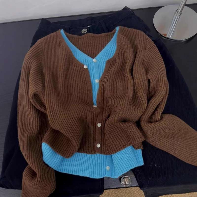간절기 브이넥 페이크 레이어드 가디건 스웨터 - 상품 이미지