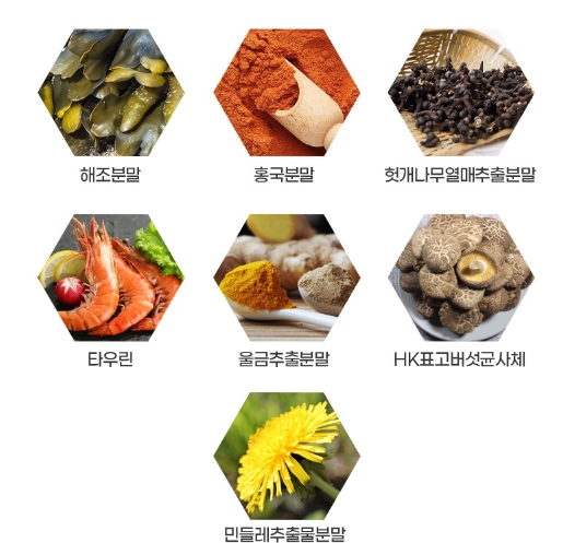 일양약품 헤파쿠스 밀크씨슬 추출물 실리마린 간에좋은 영양제 고함량 케어 피로 비타민 건강 이미지 8