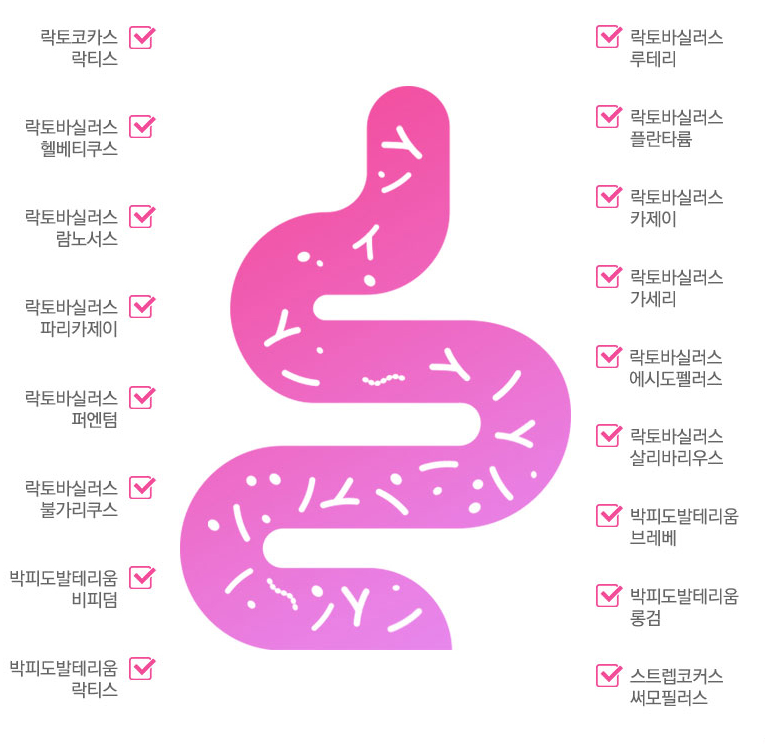 약국질유산균 람노스 락토바실러스 락토페린 여성 질유래 30캡슐 - 상세 이미지 5