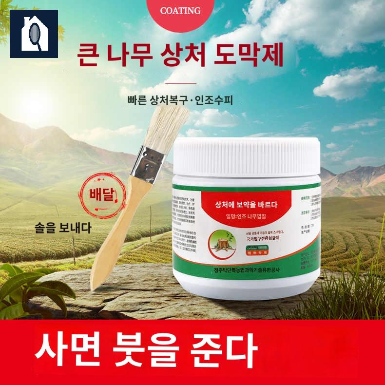 수목 제 보호제 접목 감나무 도포제 방법 나무 - 상세 이미지 2