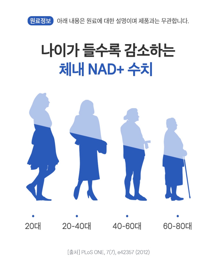 1+1 브로콜리 nmn 추출물 식물성 NMN영양제 NAD 베타인 - 상세 이미지 5
