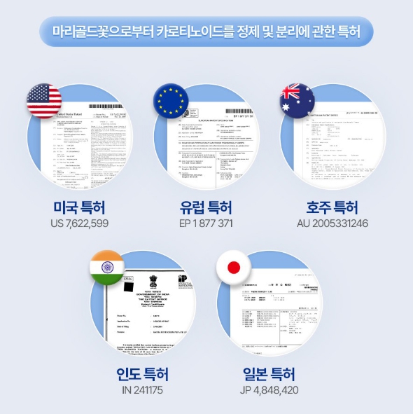 종근당 아스타잔틴 지아잔틴 플러스 초임계 마리골드꽃 눈 건강 루지아 피로개선 노화 건조 - 상세 이미지 5