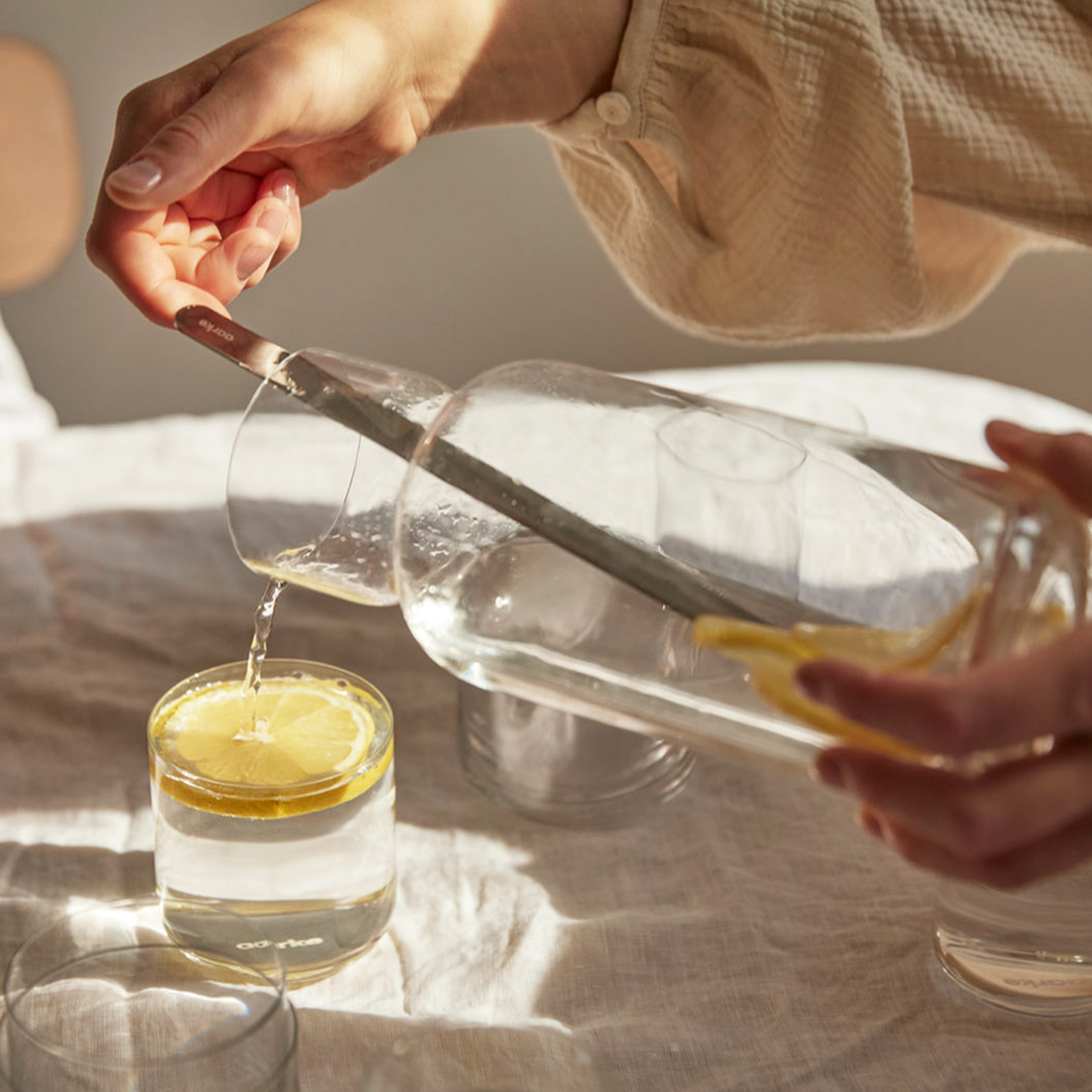 아르케 카보네이터 프로 Pro 스웨덴 탄산수 제조기 올스테인리스 매트블랙