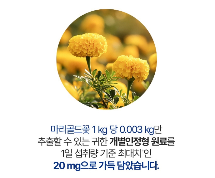종근당 아스타잔틴 지아잔틴 플러스 초임계 마리골드꽃 눈 건강 루지아 피로개선 노화 건조 이미지 7