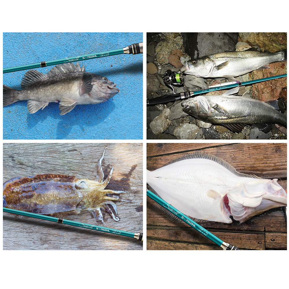 마탄자 민물 바다 겸용 씨올 인쇼어 루어낚시대 농어 우럭 광어 에깅 배스 쏘가리 꺽지 - 메인 이미지