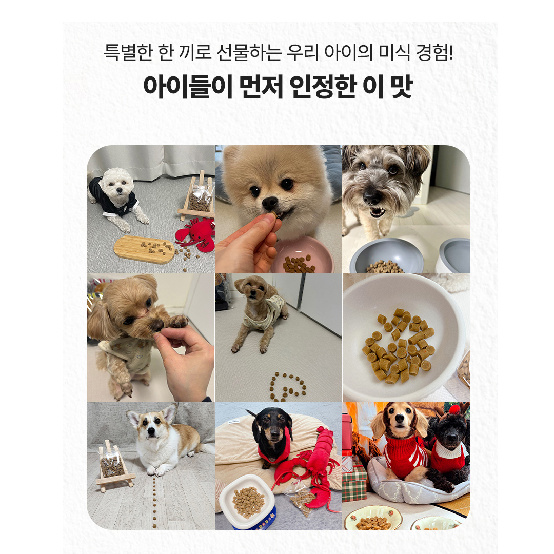 프리미엄 소프트 밀 수제사료 랍스터, 1kg, 1개 이미지 4