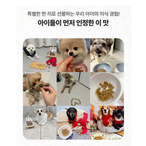 프리미엄 소프트 밀 수제사료 랍스터, 1kg, 1개 솔직 후기 | 실제 사용자 리뷰 총정리 - 상품 이미지 4