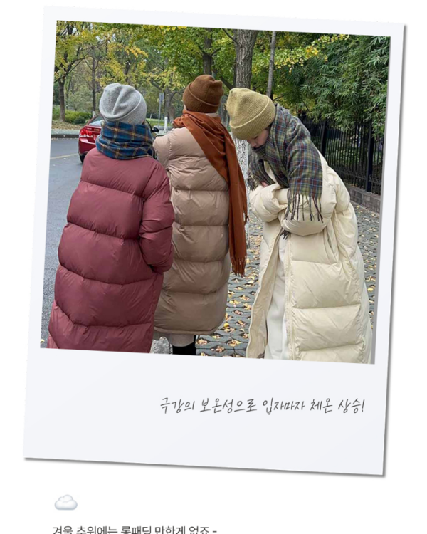 파인드 윈터 데일리 웰론 롱 패딩 점퍼(4color) - 상세 이미지 5
