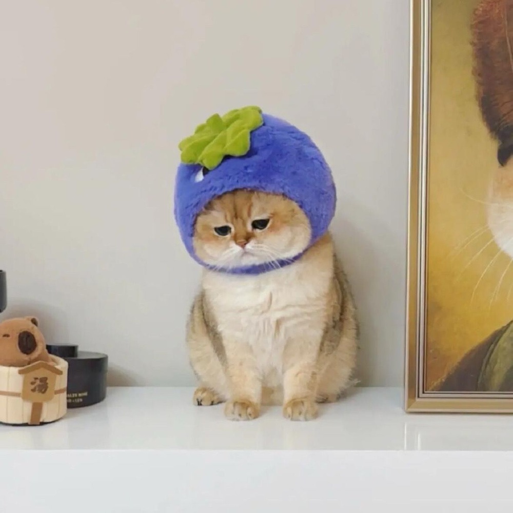 너무 귀여운 고양이 모자 코스프레 모자 - 상품 이미지