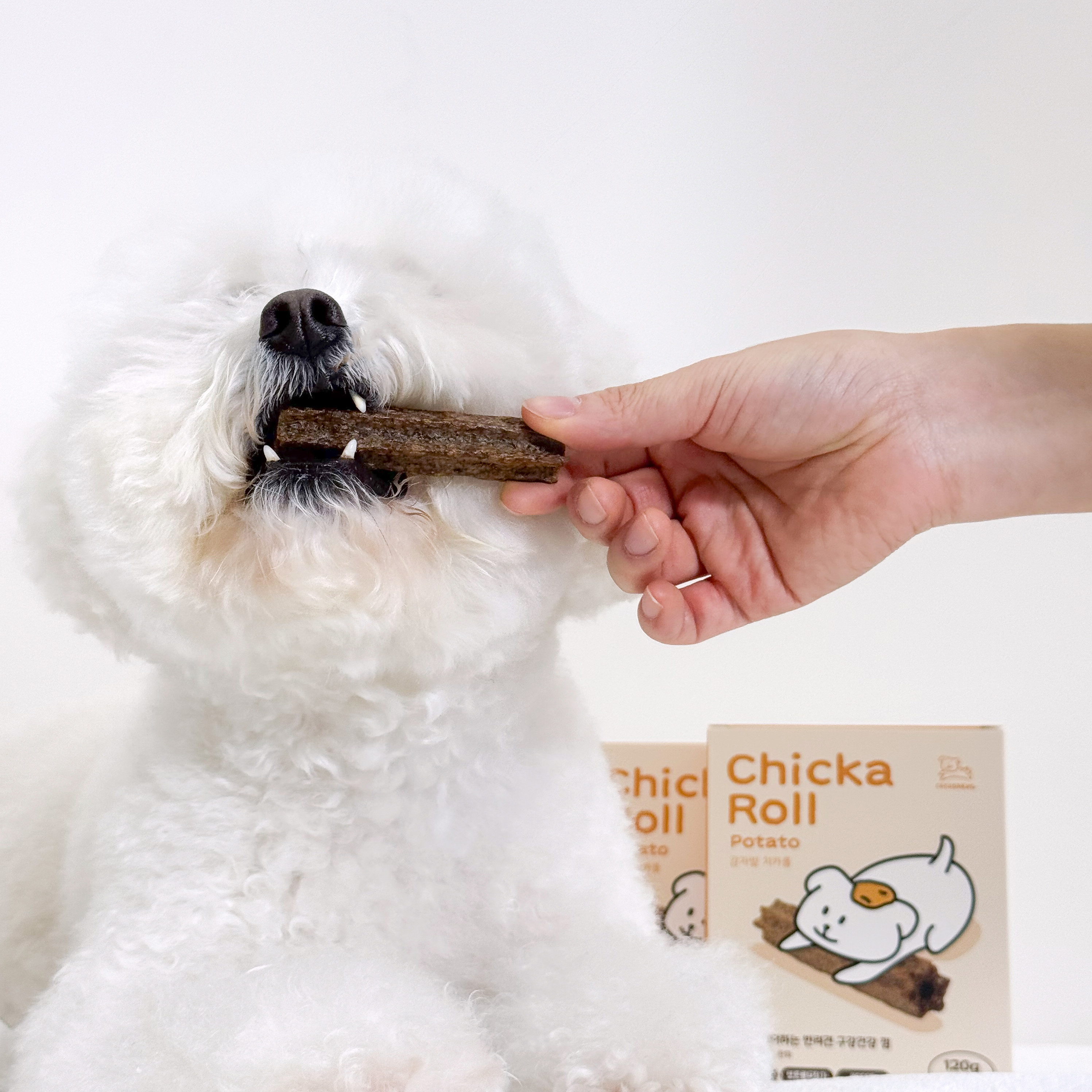 프로폴리스 강아지 구강 덴탈껌 치석제거 무보존료 비건 감자밭 치카롤 감자, 120g, 1개