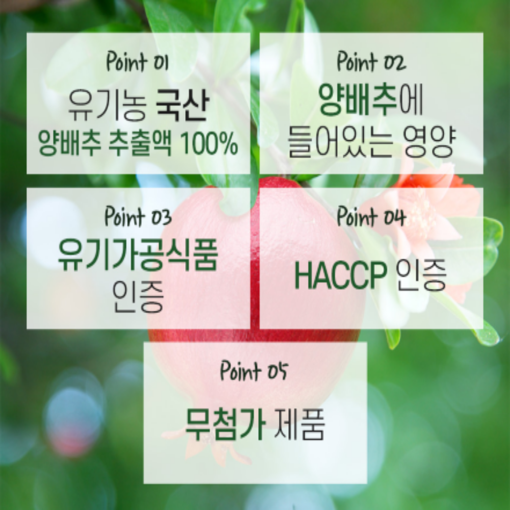 국내산 유기농 양배추 추출액 100% 무안 양배추즙 박대표마켓 - 상세 이미지 4
