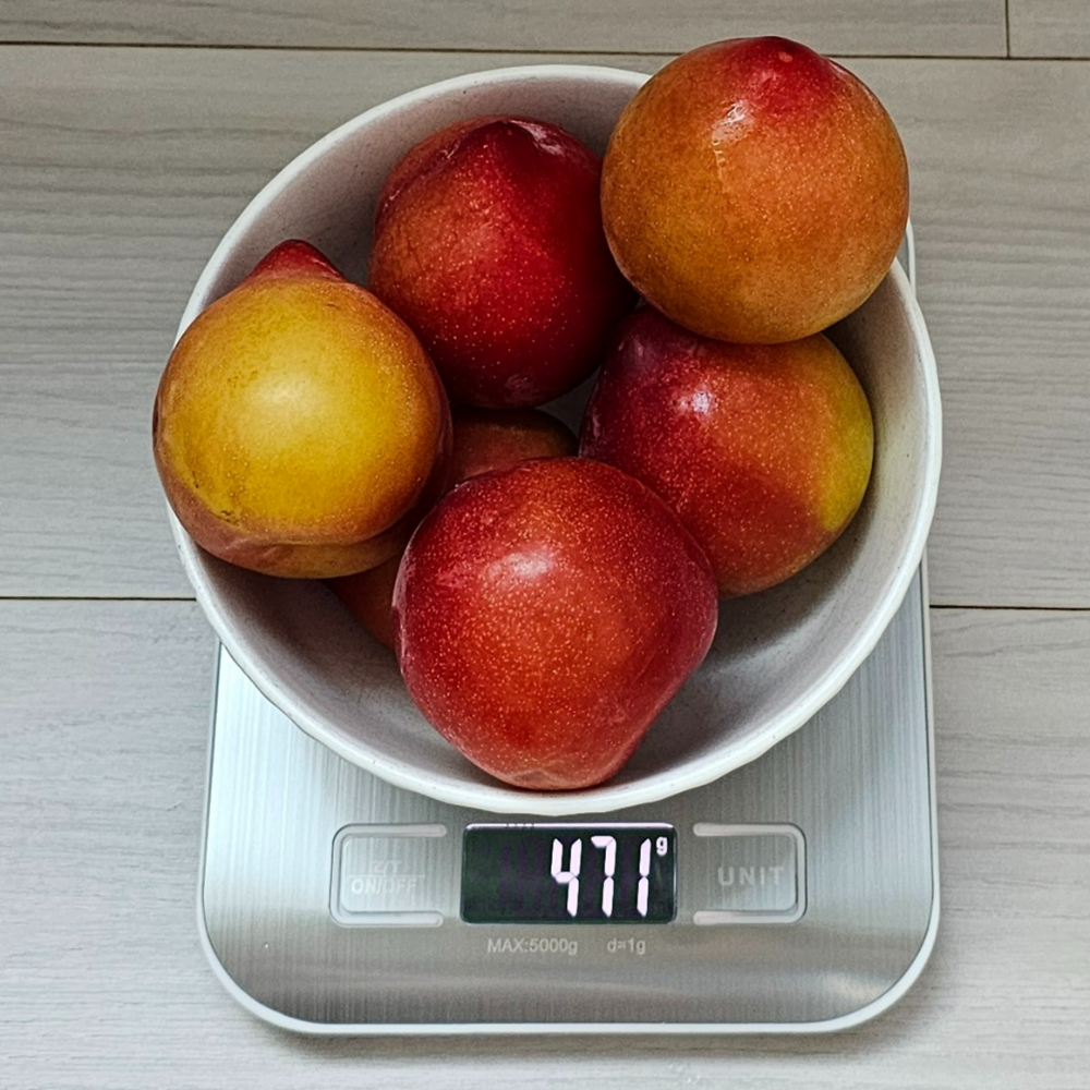 가드닝랩 식물저울 전자 주방저울 5kg - 상세 이미지 4