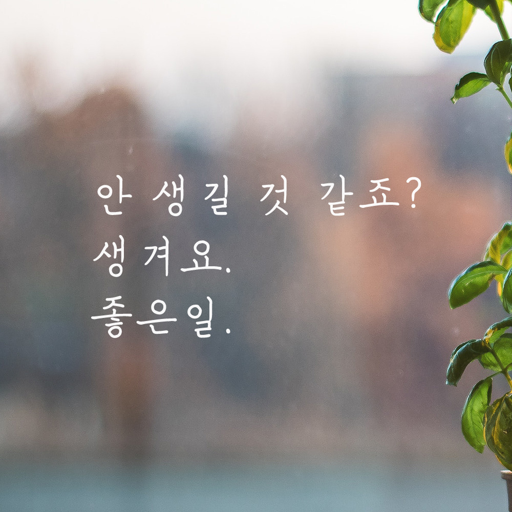 감성 손글씨 레터링 스티커 안 생길 것 같죠 생겨요 좋은일 검정 S - 상세 이미지 4