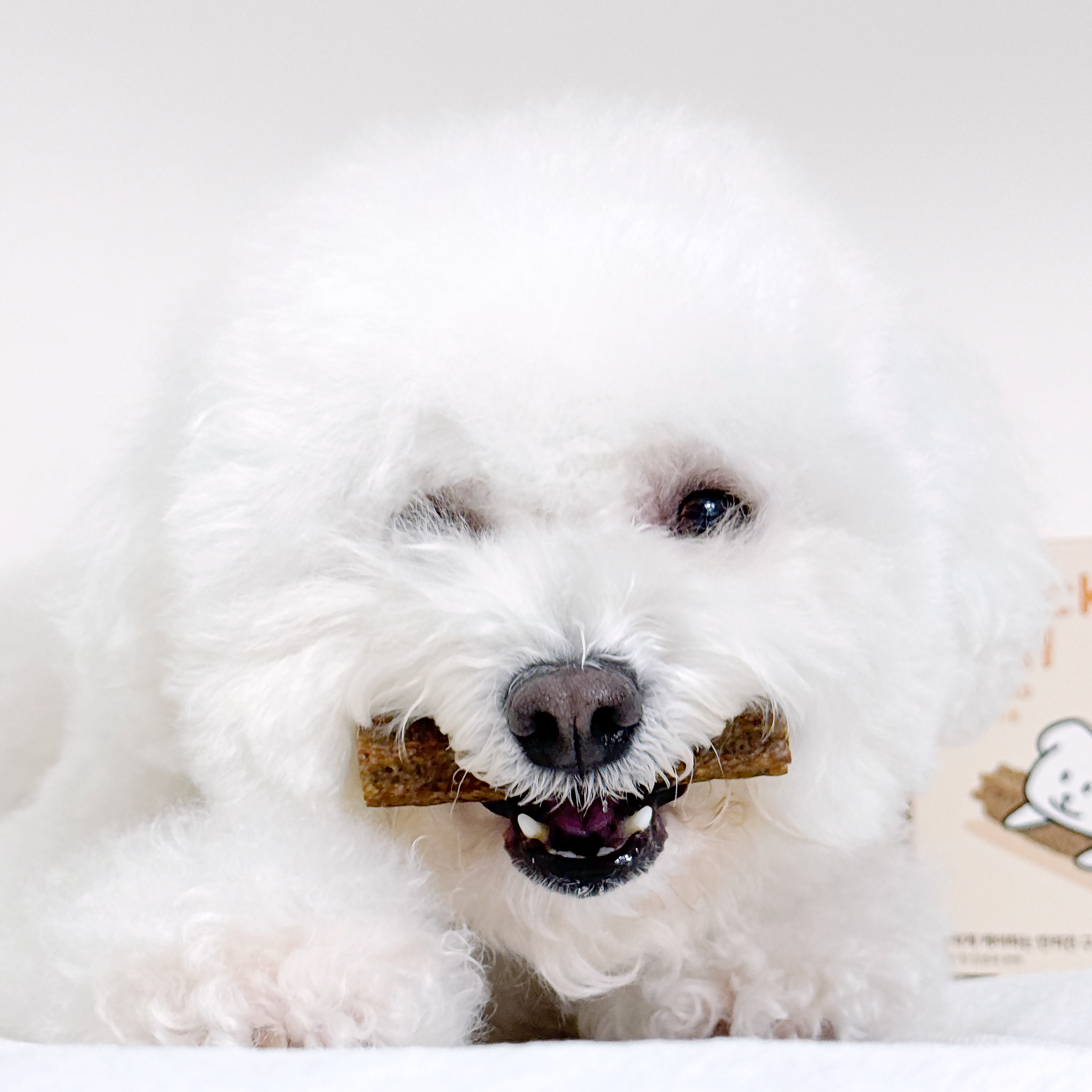 프로폴리스 강아지 구강 덴탈껌 치석제거 무보존료 비건 감자밭 치카롤 감자, 120g, 1개