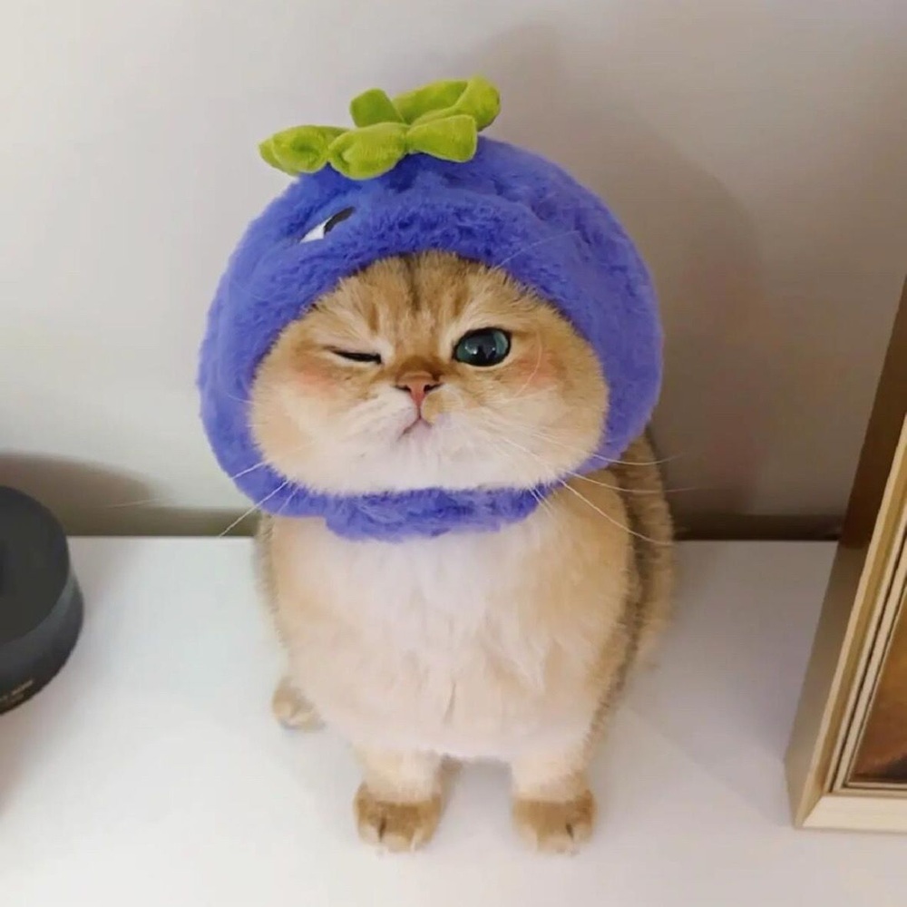 너무 귀여운 고양이 모자 코스프레 모자 - 상세 이미지 3