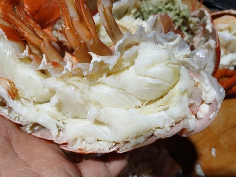 활 랍스타 항공직송 캐나다 1마리 500g - 상세 이미지 4