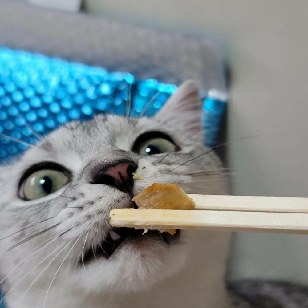 동해형씨 레토르트 원물건조 연어 28g 외 9종 국산 고급 보양식