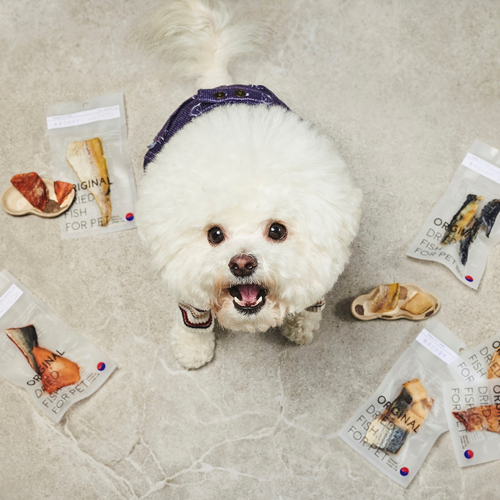 동해형씨 레토르트 원물건조 연어 28g 외 9종 국산 고급 보양식