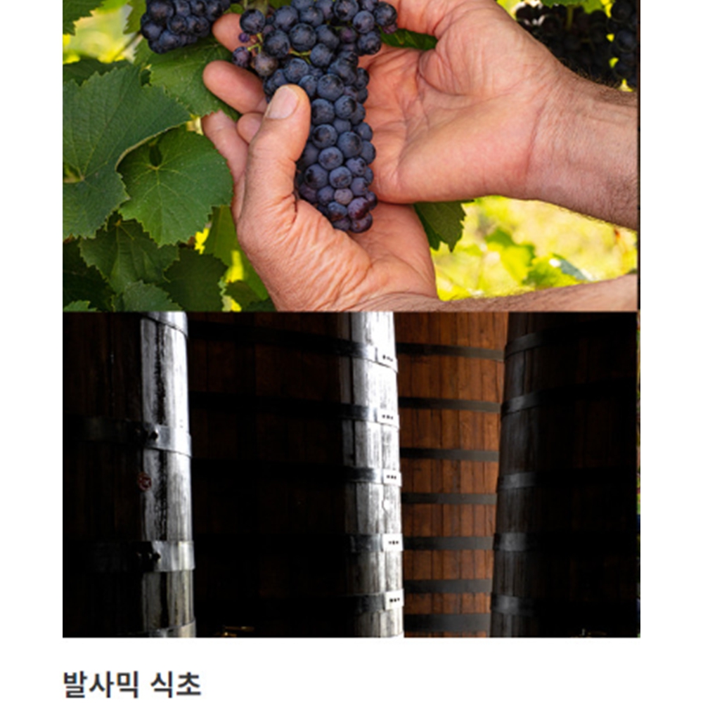 두에비토리에 이탈리아 모데나 유기농 발사믹 식초 이미지 6
