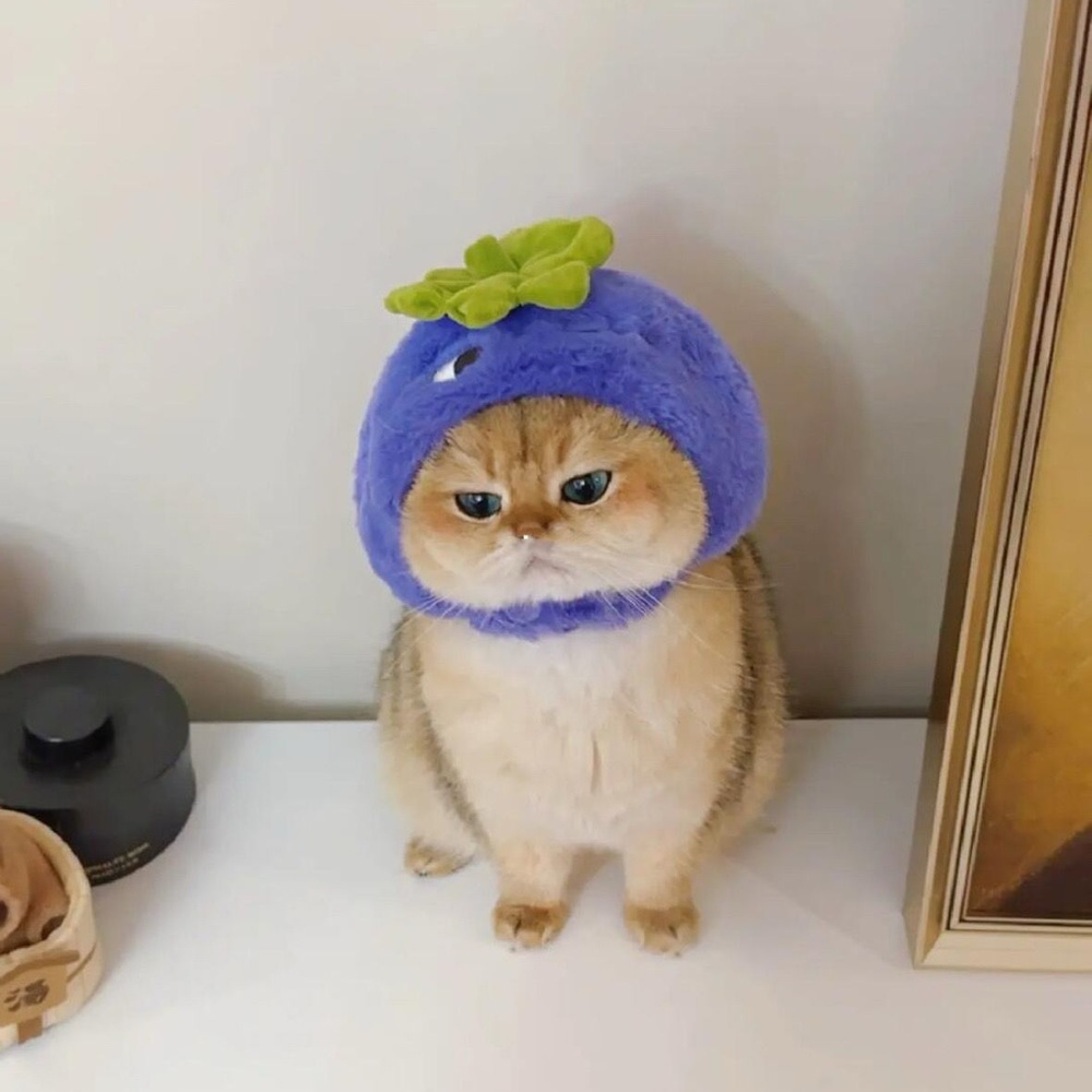너무 귀여운 고양이 모자 코스프레 모자 - 상세 이미지 4