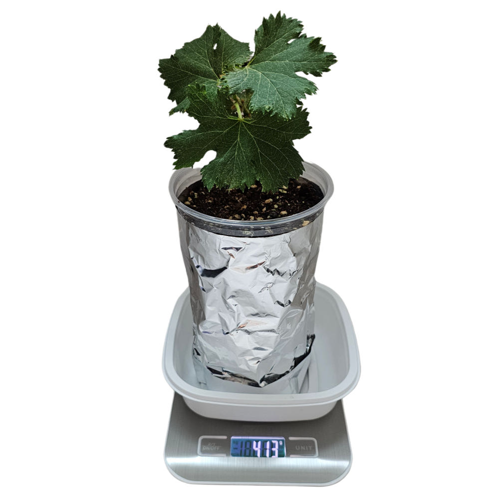 가드닝랩 식물저울