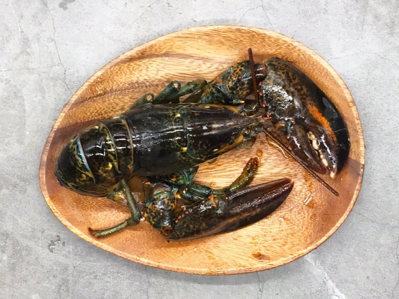 활 랍스타 항공직송 캐나다 1마리 500g - 상품 이미지
